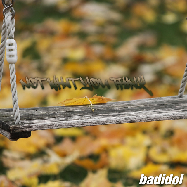 Not what you think cover